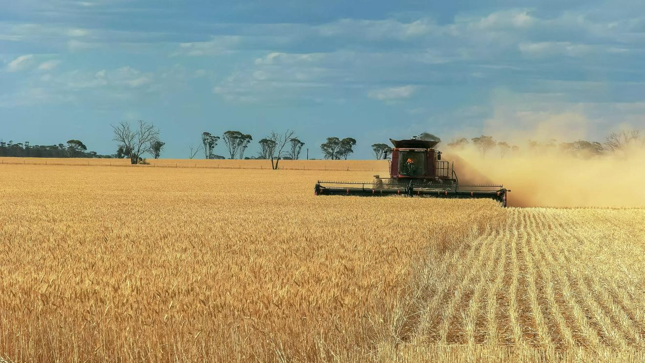 A tractor being used on a farm.