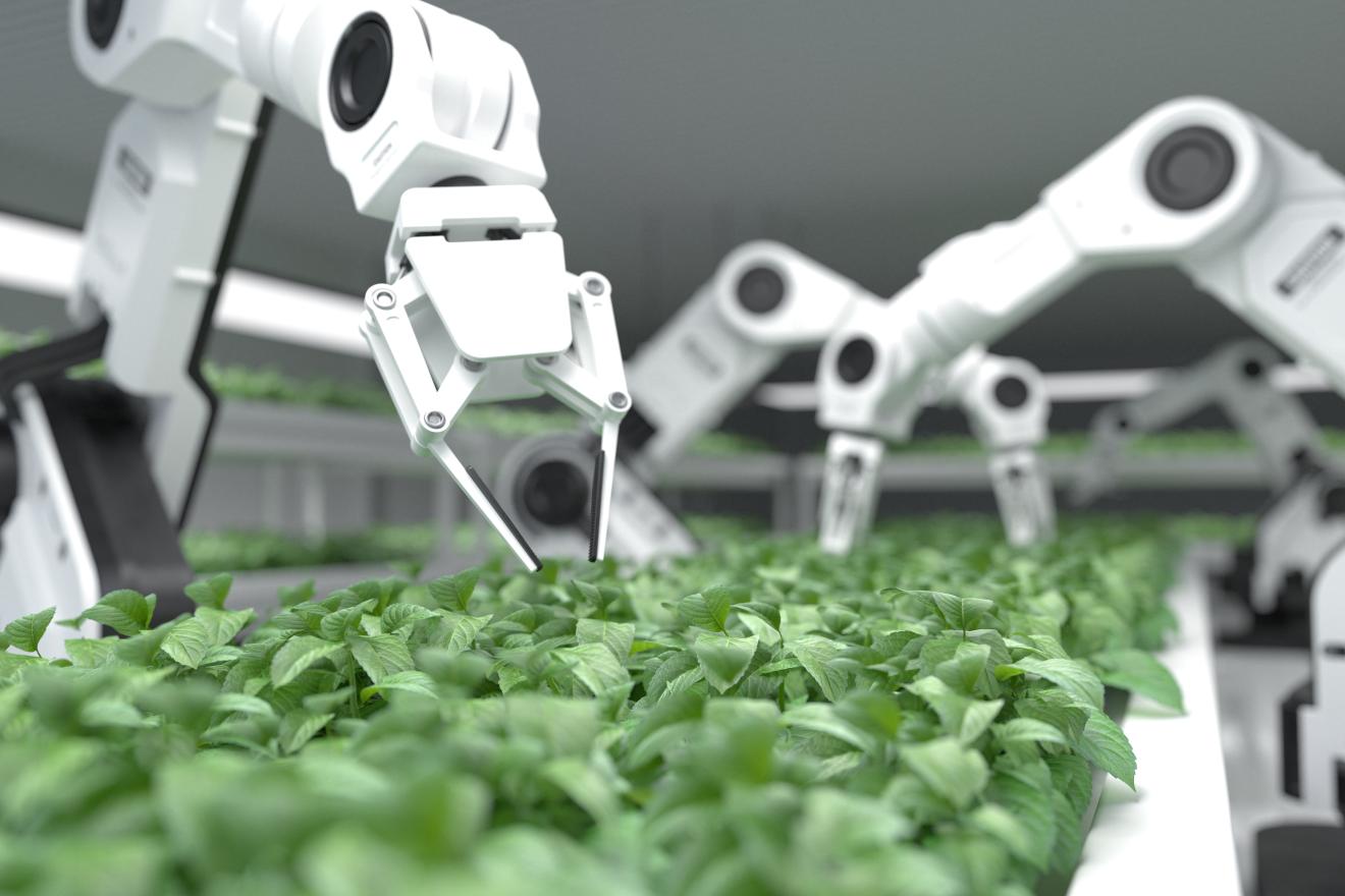Space technology and food production