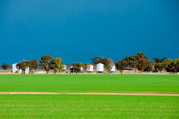 A field with silos