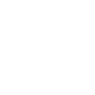 the logo of NZ's space agency. 