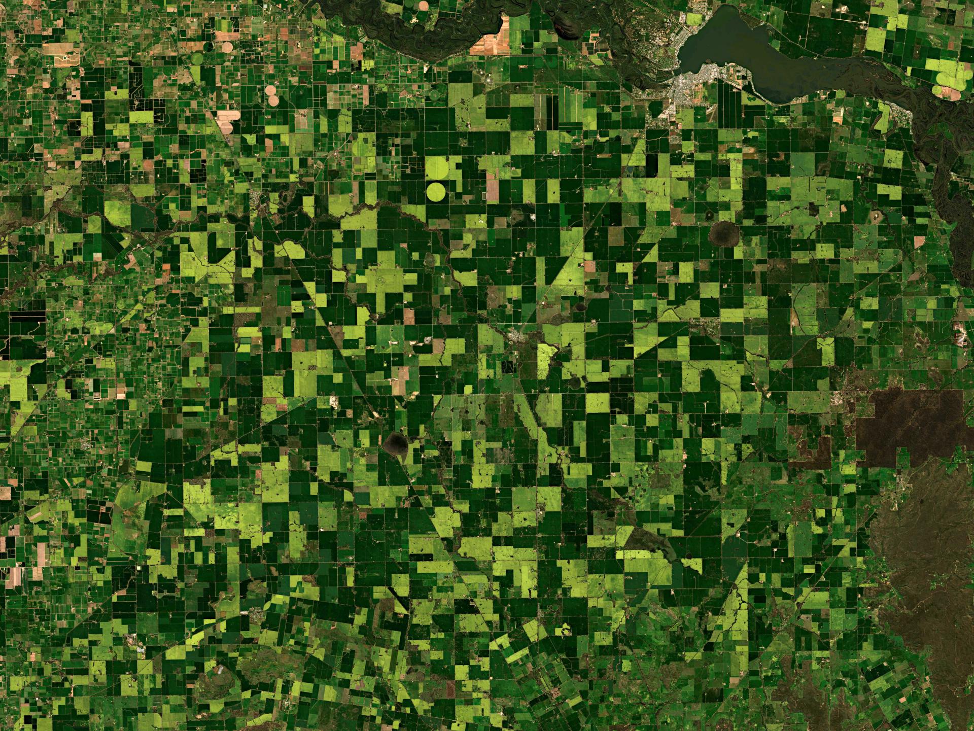 A rural patch of farmland as seen from satellites