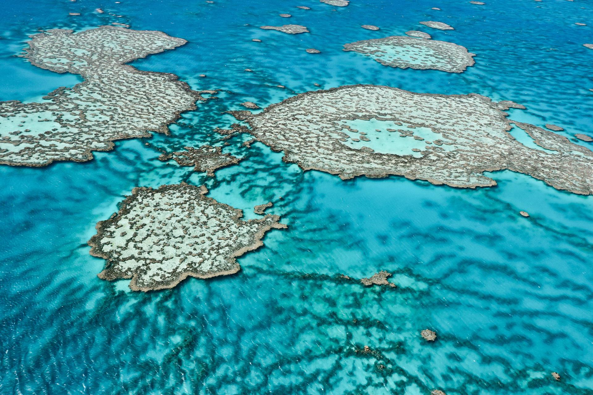 An image of the Great Barrier Reef